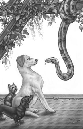 Иллюстрация к книге — Верные. Книга 3. Дорога чудес и невзгод [i_011.jpg]