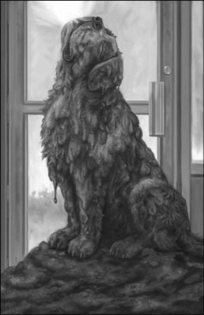 Иллюстрация к книге — Верные. Книга 3. Дорога чудес и невзгод [i_013.jpg]