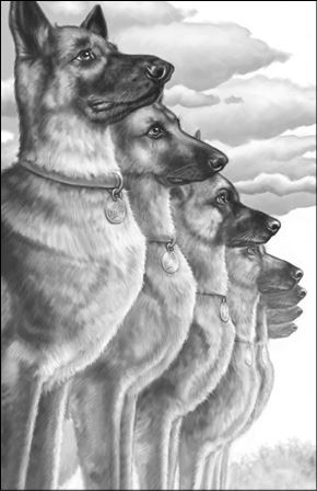 Иллюстрация к книге — Верные. Книга 3. Дорога чудес и невзгод [i_014.jpg]