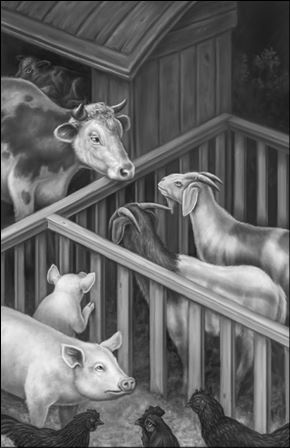 Иллюстрация к книге — Верные. Книга 3. Дорога чудес и невзгод [i_017.jpg]