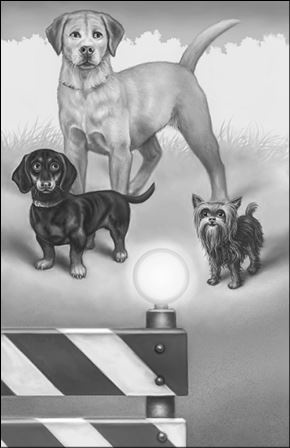 Иллюстрация к книге — Верные. Книга 3. Дорога чудес и невзгод [i_021.jpg]