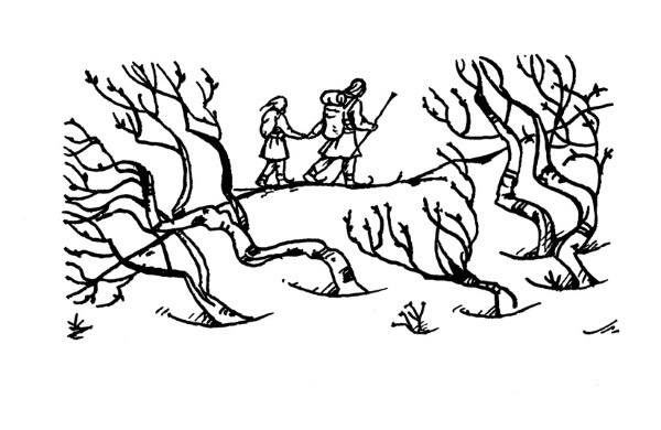 Иллюстрация к книге — Золото Хравна [i_034.jpg]