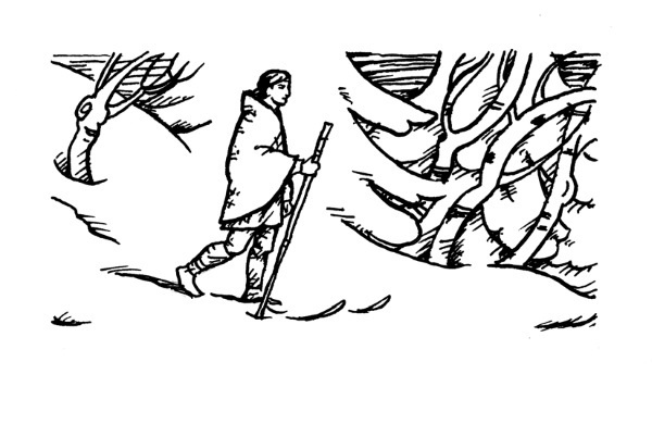 Иллюстрация к книге — Золото Хравна [i_067.jpg]