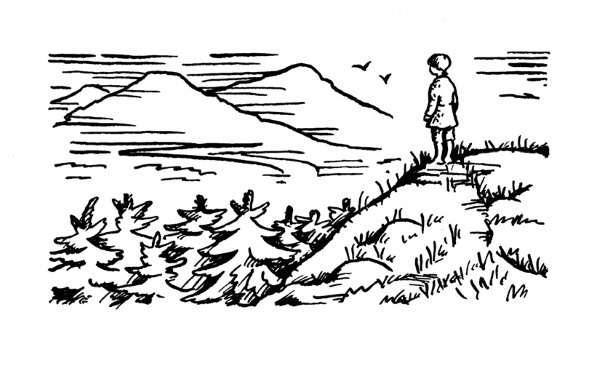 Иллюстрация к книге — Золото Хравна [i_078.jpg]