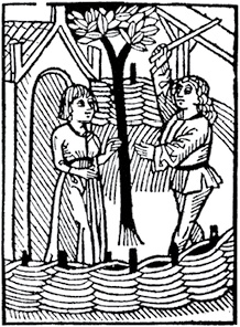 Иллюстрация к книге — Средневековье. Полная история эпохи [i_079.jpg]