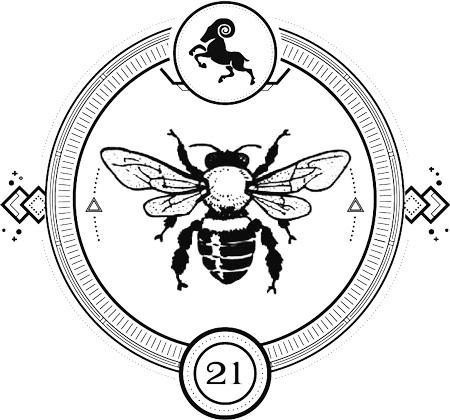 Иллюстрация к книге — Ларец, полный тьмы [i_023.jpg]