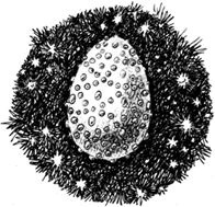 Иллюстрация к книге — Сказки Города Времени [i_014.jpg]