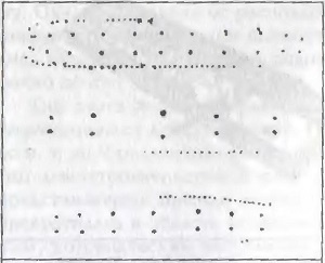 Иллюстрация к книге — Предвестники викингов. Северная Европа в I-VIII веках [i_012.jpg]