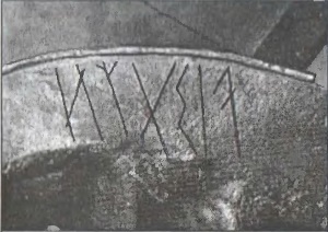 Иллюстрация к книге — Предвестники викингов. Северная Европа в I-VIII веках [i_084.jpg]