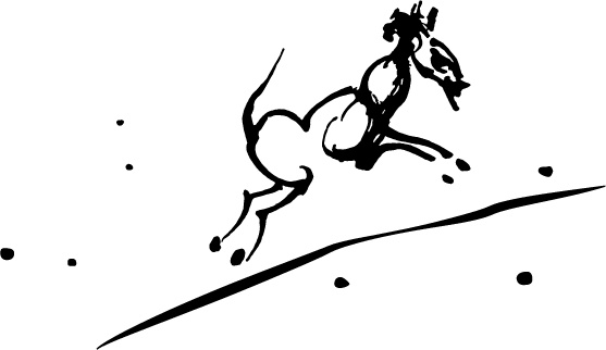 Иллюстрация к книге — Царь-оборванец и секрет счастья [i_003.jpg]