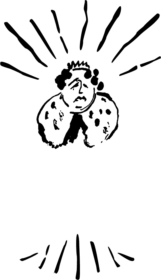 Иллюстрация к книге — Царь-оборванец и секрет счастья [i_008.jpg]