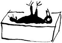 Иллюстрация к книге — Царь-оборванец и секрет счастья [i_029.jpg]