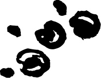 Иллюстрация к книге — Царь-оборванец и секрет счастья [i_041.jpg]