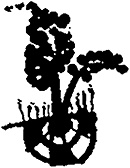 Иллюстрация к книге — Царь-оборванец и секрет счастья [i_043.jpg]