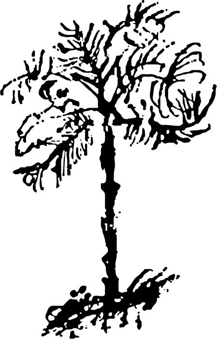 Иллюстрация к книге — Царь-оборванец и секрет счастья [i_045.jpg]