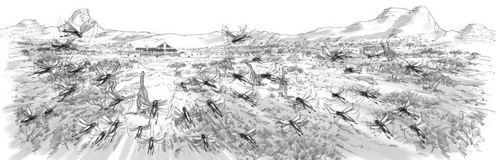 Иллюстрация к книге — Проклятие забытой карты [_298299.jpg]