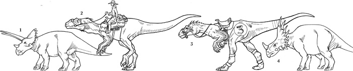 Иллюстрация к книге — Проклятие забытой карты [_332333.jpg]