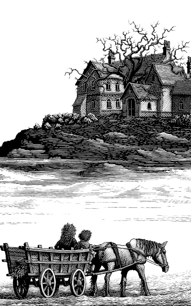 Иллюстрация к книге — Ночной садовник [i_001.jpg]