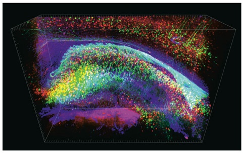 Иллюстрация к книге — Креативный вид. Как стремление к творчеству меняет мир [i_062.jpg]