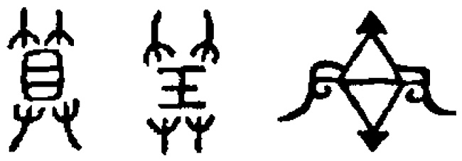 Иллюстрация к книге — Психэ и материя [i_008.jpg]