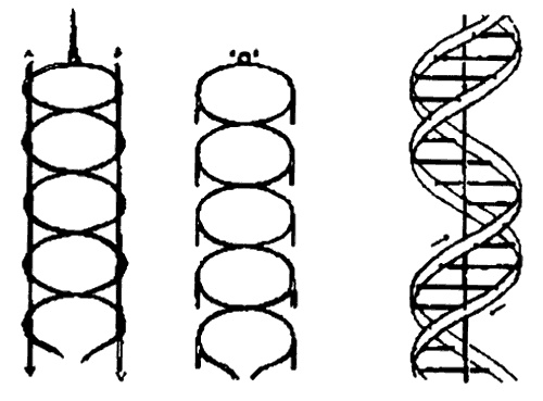 Иллюстрация к книге — Психэ и материя [i_018.jpg]
