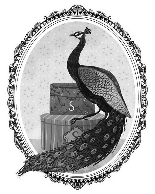 Иллюстрация к книге — Тайна полуночного павлина [i_018.jpg]