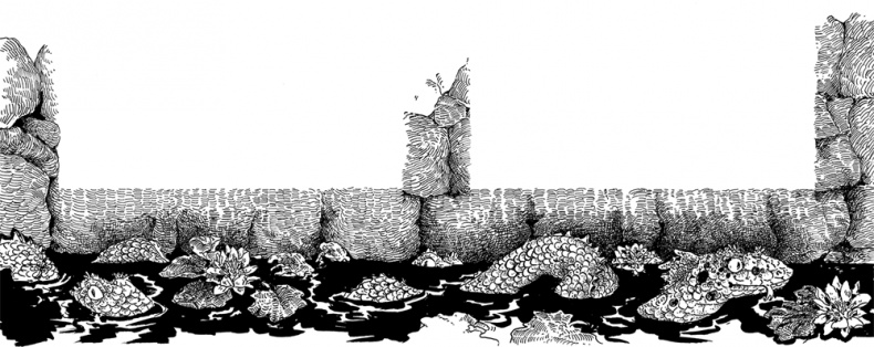 Иллюстрация к книге — Бесстрашная Игрэйн [i_049.jpg]