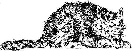 Иллюстрация к книге — Бесстрашная Игрэйн [i_060.jpg]