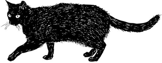 Иллюстрация к книге — Безумие ли? Как психиатры выставляют диагноз? [i_013.jpg]