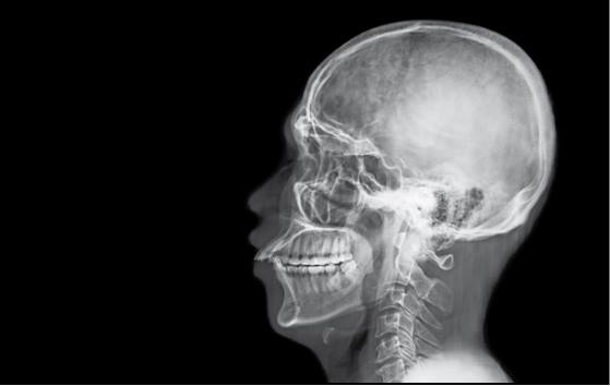 Иллюстрация к книге — Безумие ли? Как психиатры выставляют диагноз? [i_037.jpg]