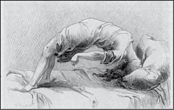 Иллюстрация к книге — Безумие ли? Как психиатры выставляют диагноз? [i_054.jpg]