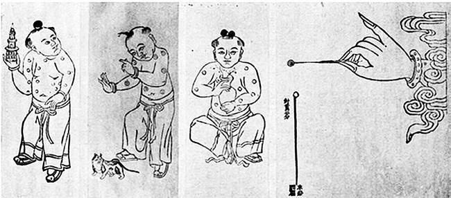 Иллюстрация к книге — Как работает иммунитет [i_043.jpg]