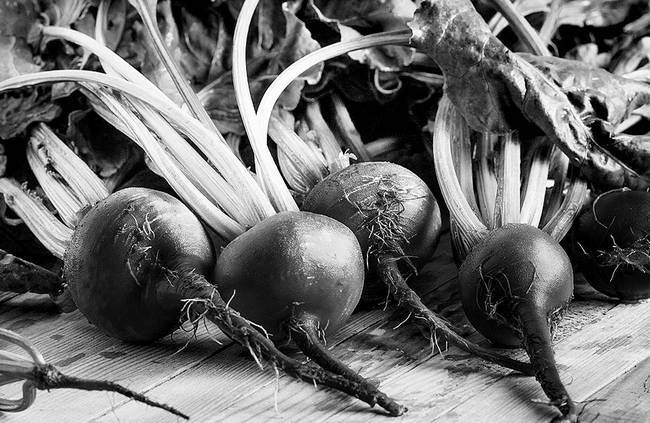 Иллюстрация к книге — Как работает иммунитет [i_071.jpg]