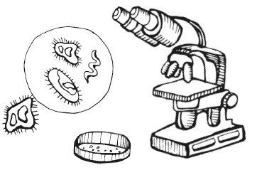 Иллюстрация к книге — Как работает иммунитет [i_077.jpg]