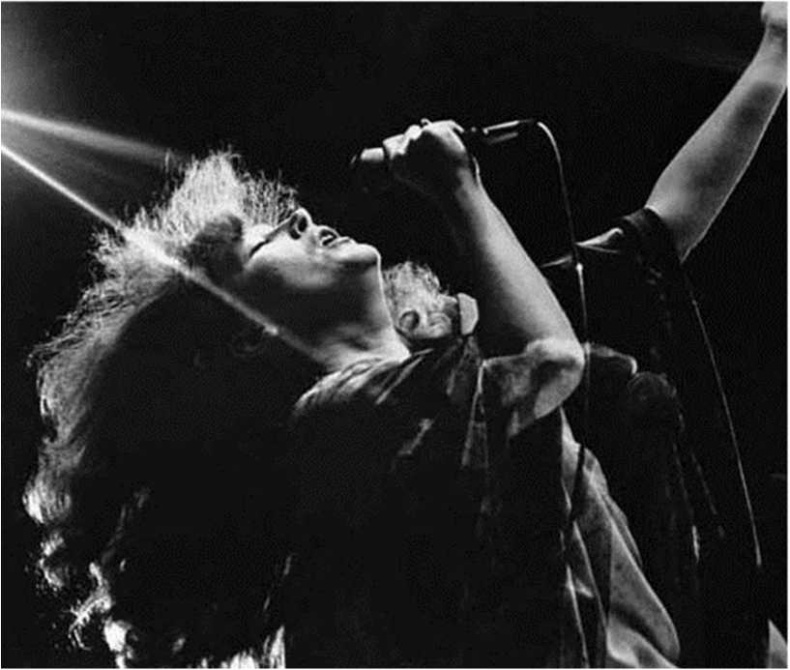 Иллюстрация к книге — Алла Пугачева. Жизнь и удивительные приключения великой певицы [i_001.jpg]