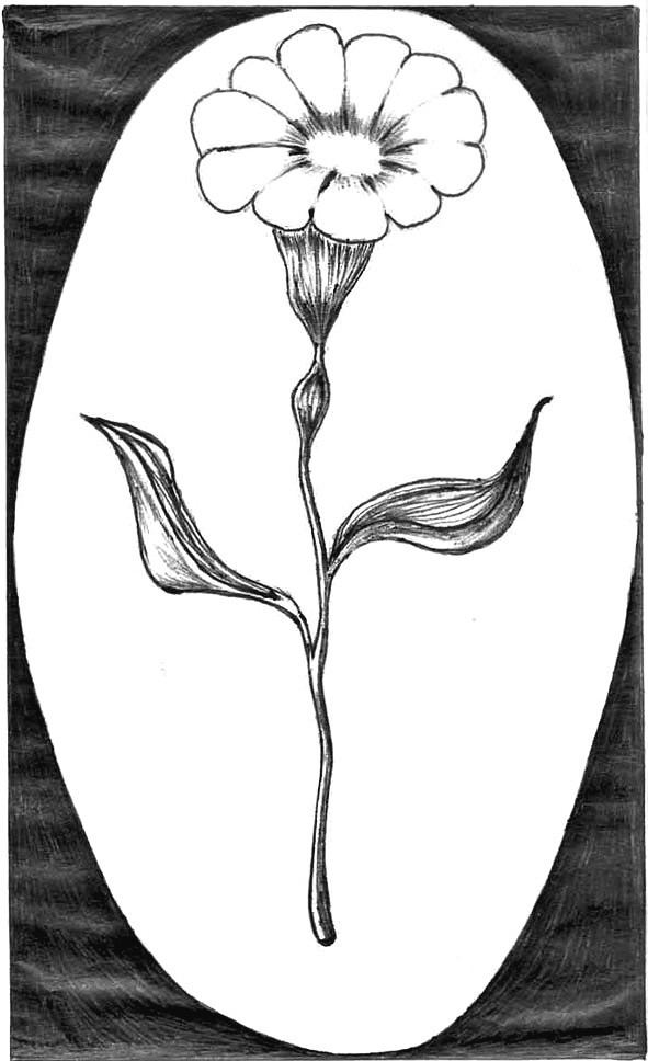 Иллюстрация к книге — Неосфера 2053. Эпоха после блокчейн  [i_040.jpg]