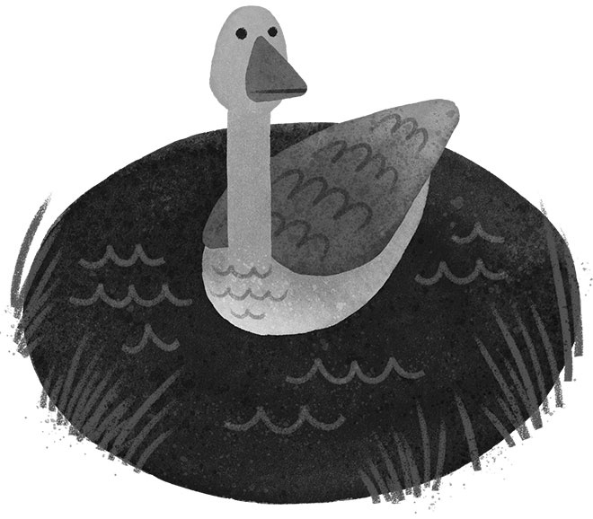 Иллюстрация к книге — Спасение дикого робота  [i_010.jpg]