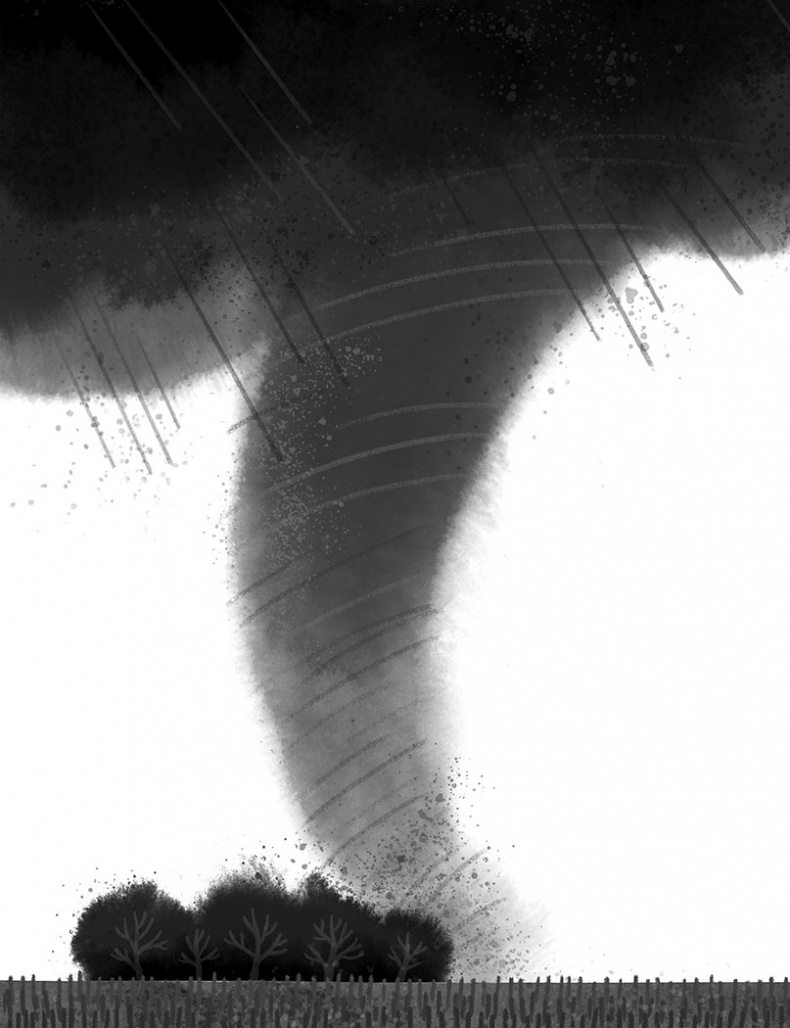 Иллюстрация к книге — Спасение дикого робота  [i_018.jpg]