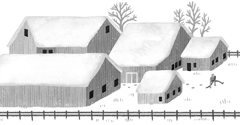 Иллюстрация к книге — Спасение дикого робота  [i_026.jpg]