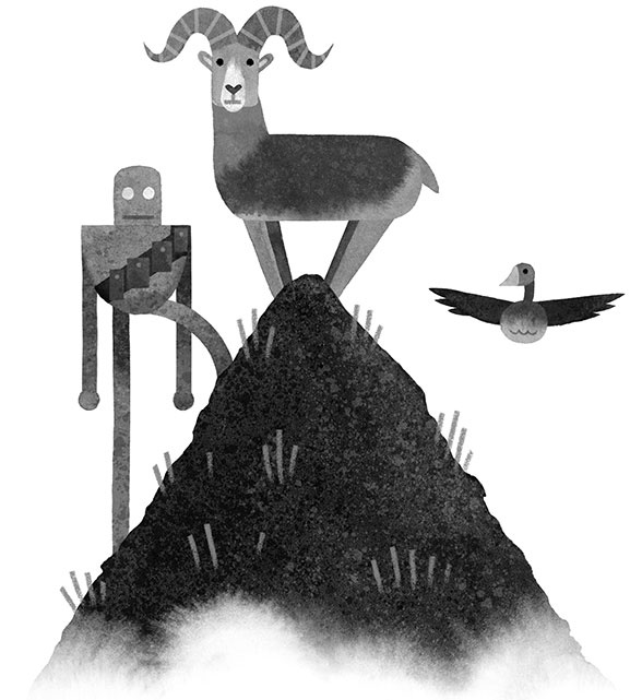 Иллюстрация к книге — Спасение дикого робота  [i_038.jpg]