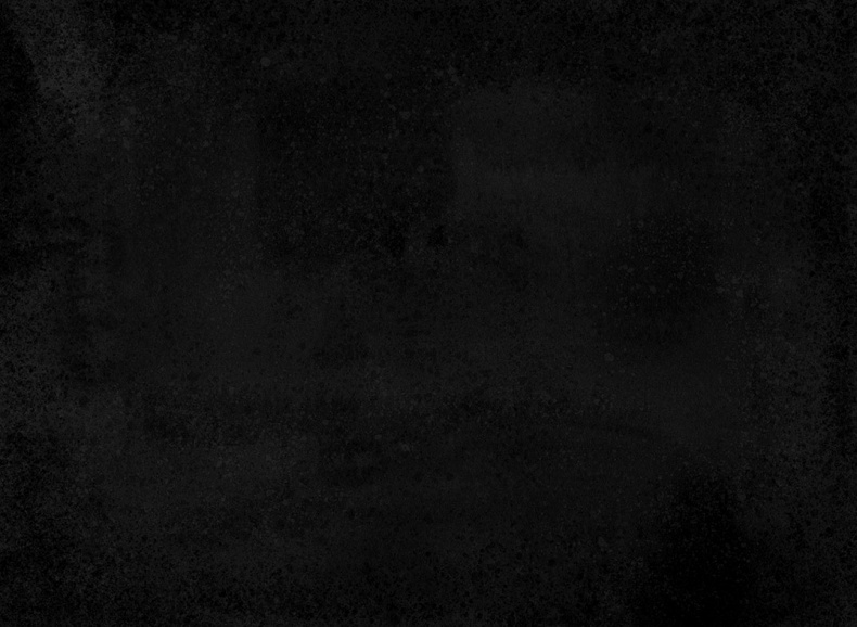 Иллюстрация к книге — Спасение дикого робота  [i_049.jpg]