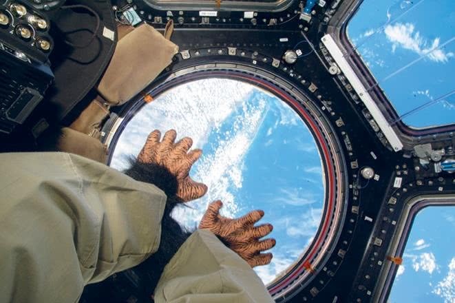 Иллюстрация к книге — Можно ли забить гвоздь в космосе и другие вопросы о космонавтике  [i_063.jpg]