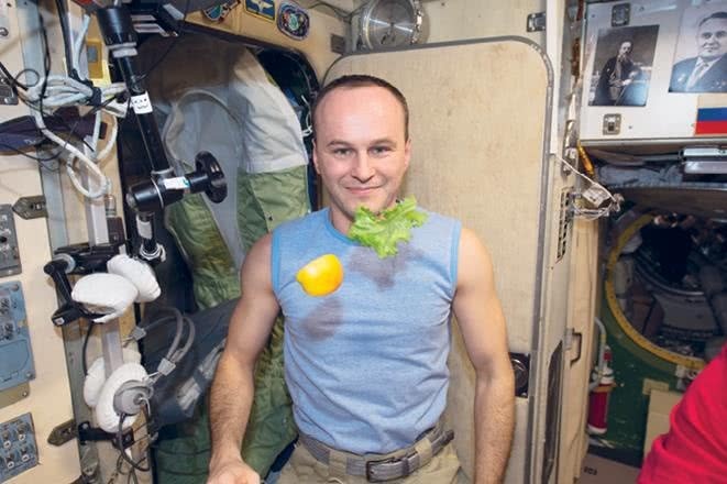 Иллюстрация к книге — Можно ли забить гвоздь в космосе и другие вопросы о космонавтике  [i_111.jpg]