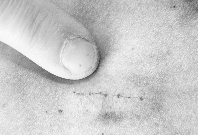 Иллюстрация к книге — 8 пророчеств Стивена Хокинга [_22.jpg]