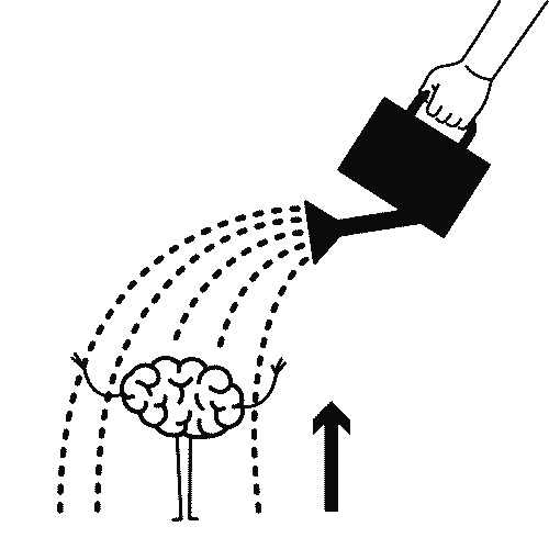 Иллюстрация к книге — Уход за мозгом [i_068.jpg]