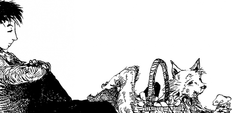 Иллюстрация к книге — Повелитель драконов. Перо грифона  [i_013.jpg]