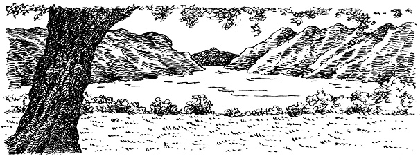 Иллюстрация к книге — Повелитель драконов. Перо грифона  [i_031.jpg]