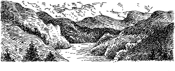 Иллюстрация к книге — Повелитель драконов. Перо грифона  [i_045.jpg]