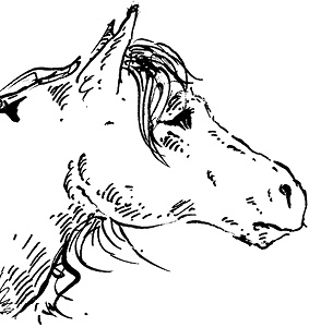 Иллюстрация к книге — Повелитель драконов. Перо грифона  [i_055.jpg]