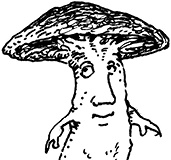 Иллюстрация к книге — Повелитель драконов. Перо грифона  [i_057.jpg]